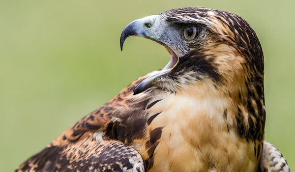 目黒区 UNDEUX SUPERBODY